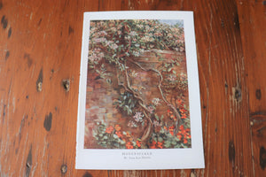 Vintage Botanical Print - Honeysuckle