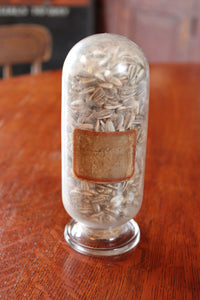 Antique Inverted Specimen Globe Display Jar