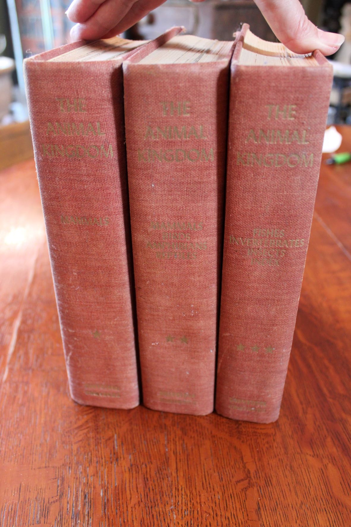 The Animal Kingdom - Volumes 1- 3