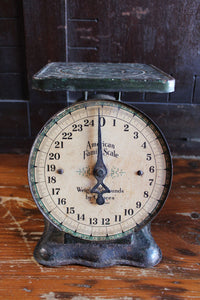 Vintage American Family Scale