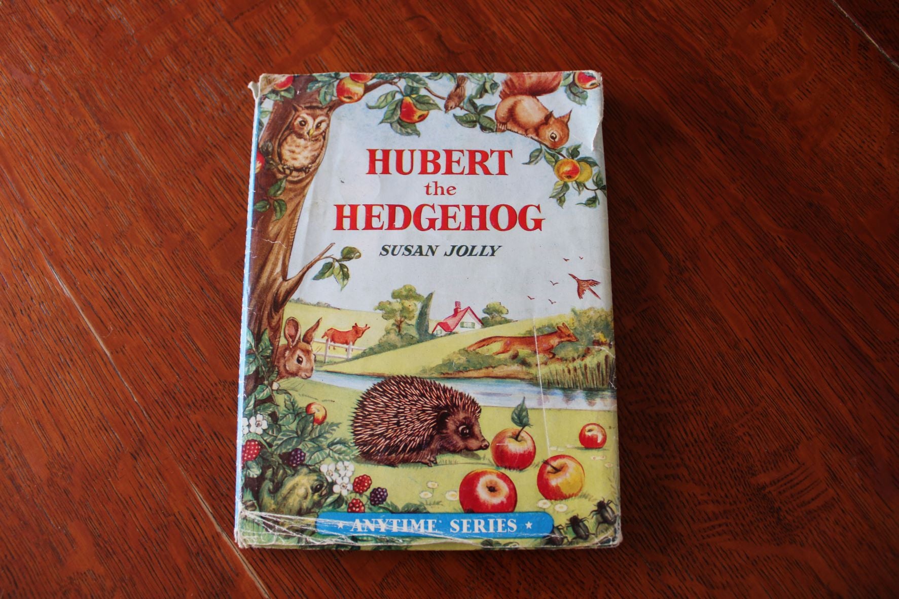 The Adventures of Hubert The Hedgehog - By Susan Jolly