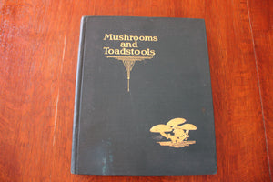 Mushrooms And Toadstools - 1927
