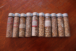 Old Set Of Specimen Vials With Grains