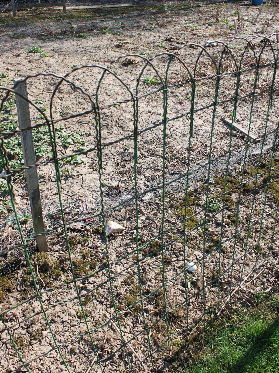 Antique Wire Hoop Top Fencing