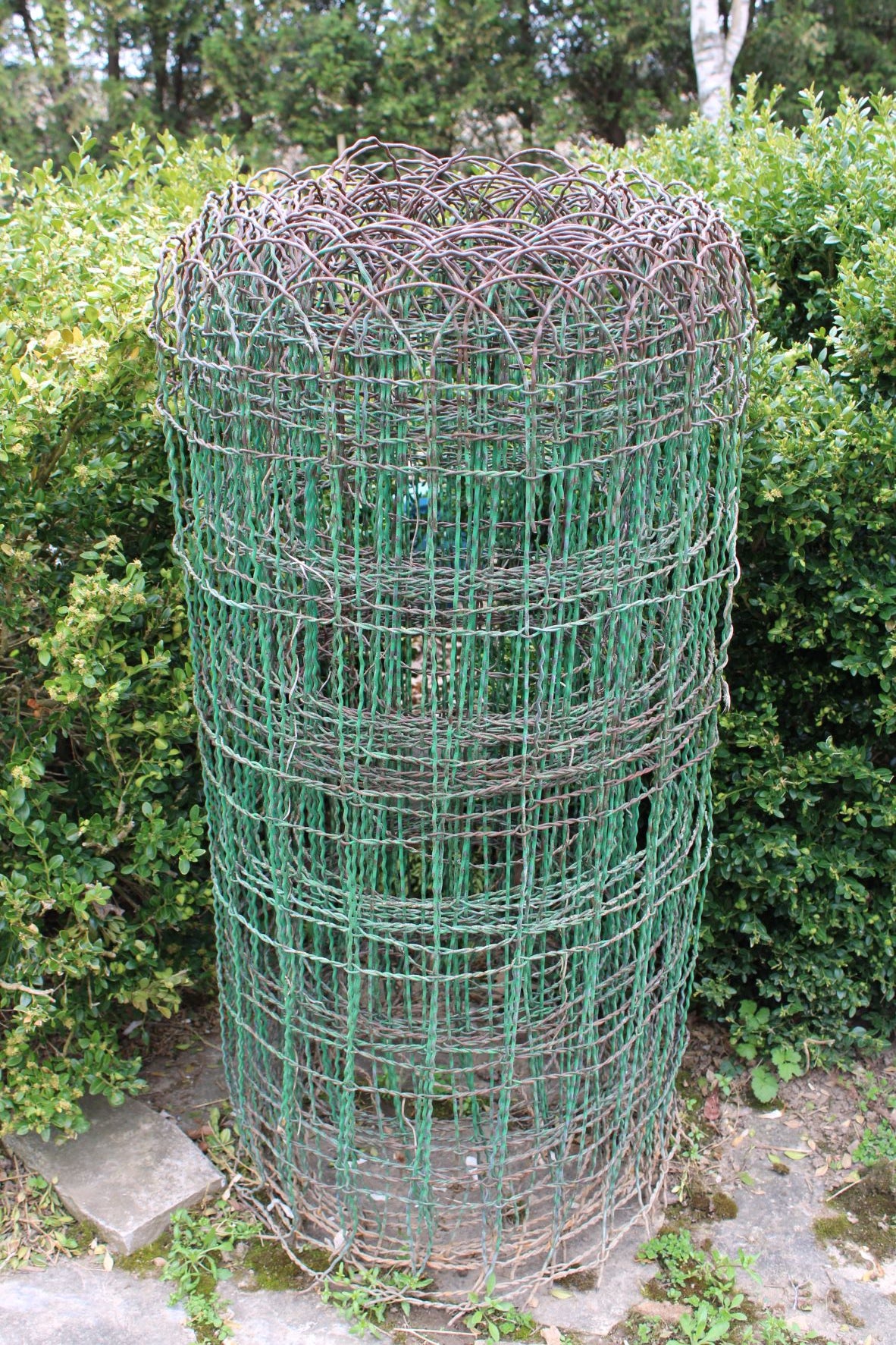 Antique Wire Hoop Top Fencing