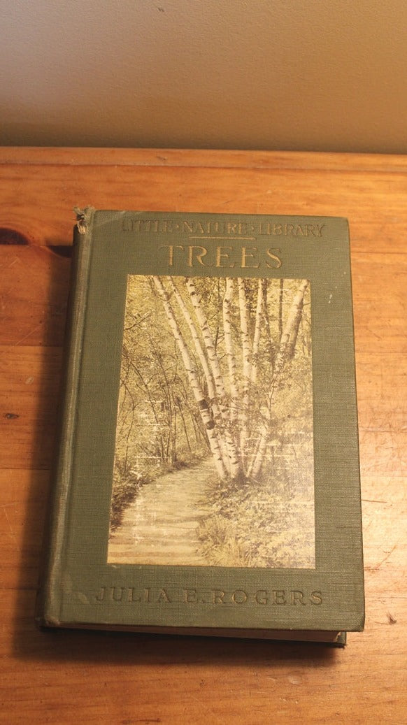 Trees Worth Knowing By Julia Ellen Rogers 1925