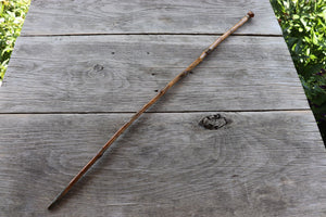 Vintage Walking Stick/Cane With Carved Wooden Dog's Head