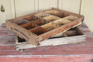 Old Berry Harvesting Trays