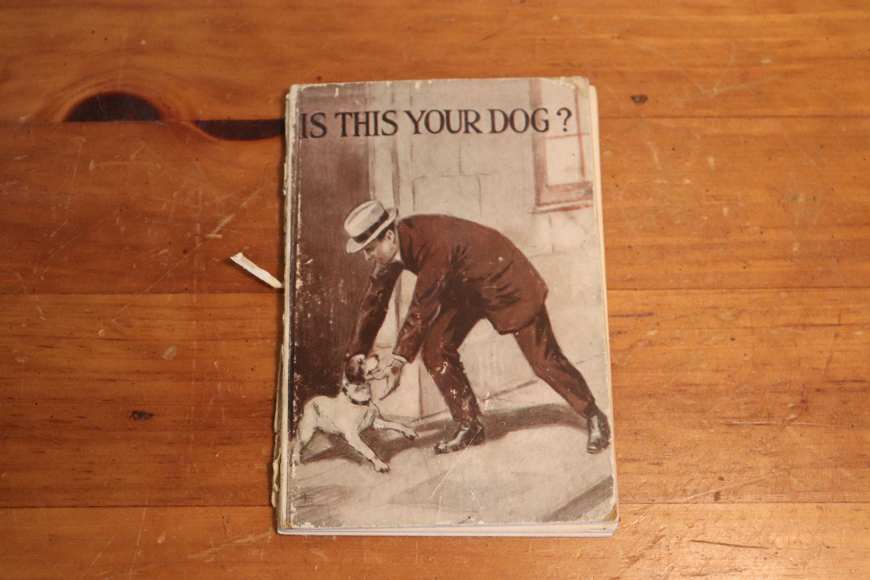 Is This Your Dog? And Other Stories For Little Folk