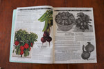 Load image into Gallery viewer, Vintage 1934 Harris Seeds Catalogue
