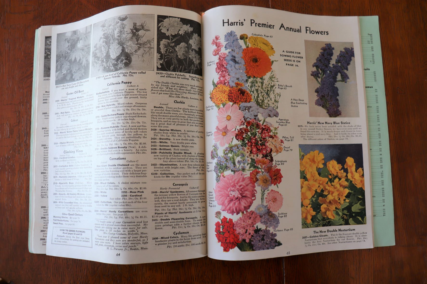 Vintage 1934 Harris Seeds Catalogue