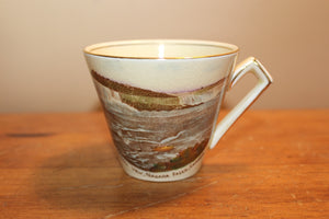 Vintage Royal Winton Niagara Falls Souvenir Tea Cup & Saucer