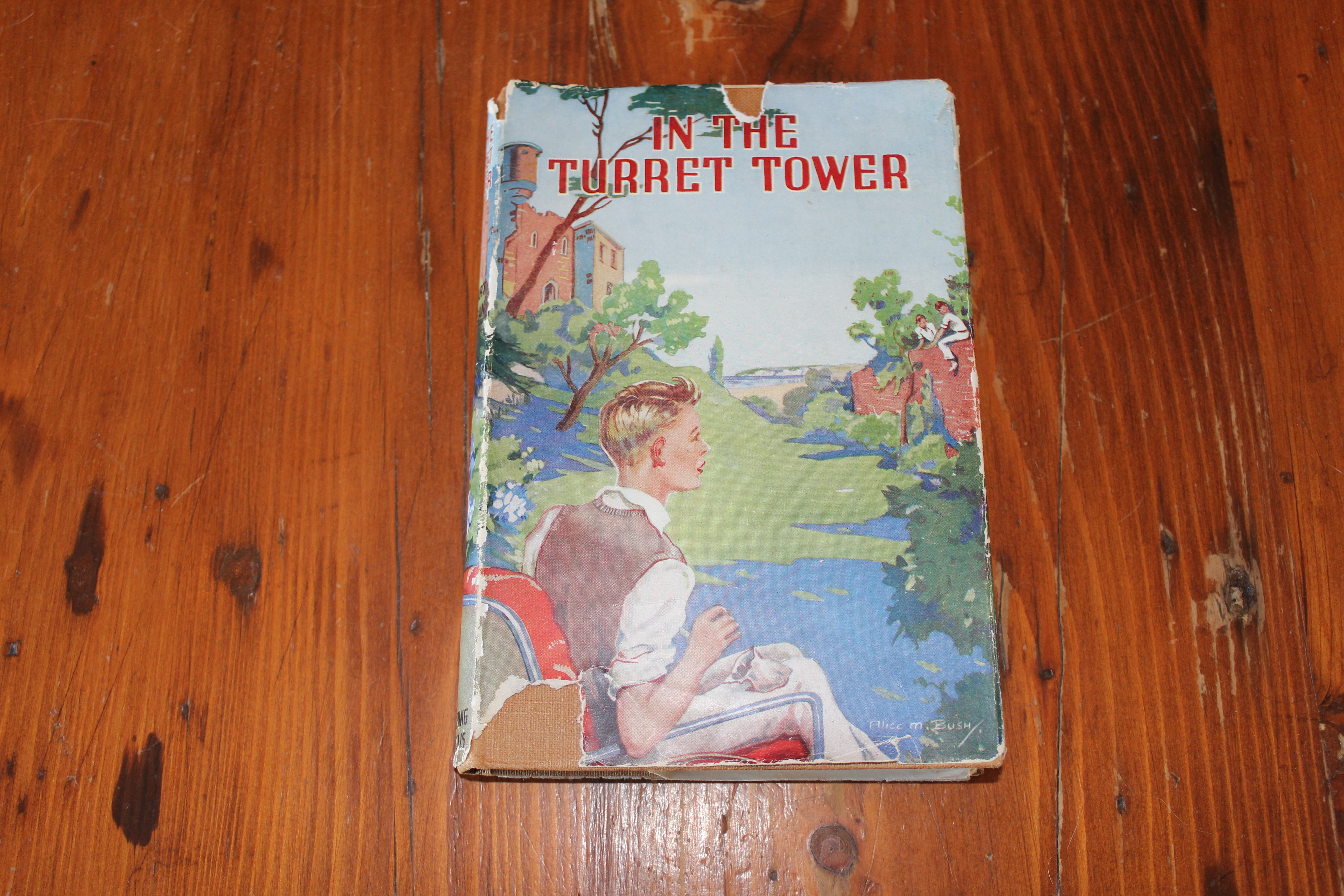 In The Turret Tower - Stuart McLean